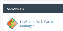 litespeed web cache manager