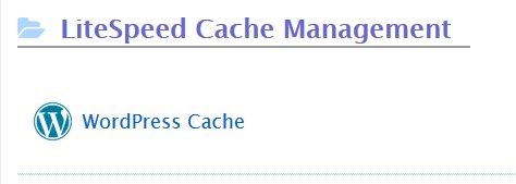 wordpress cache